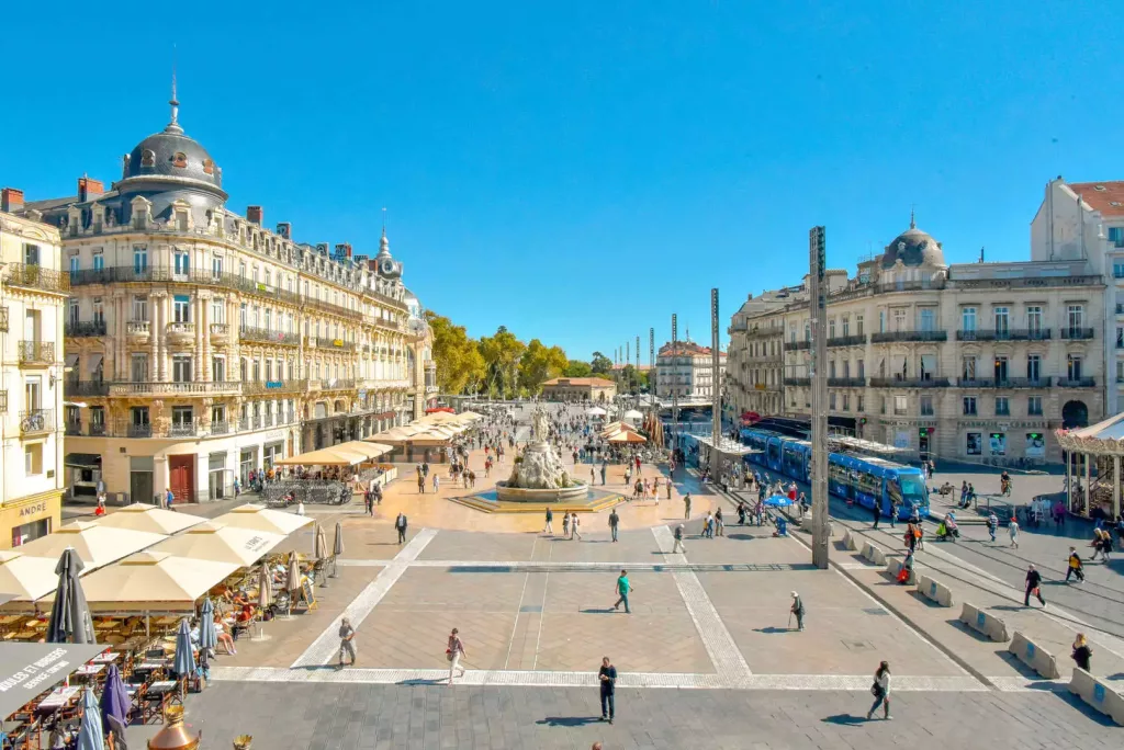 Ice Family débarque à Montpellier et dans l’Hérault : la fraîcheur s’installe dans le Sud !